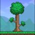 Terraria APK icon